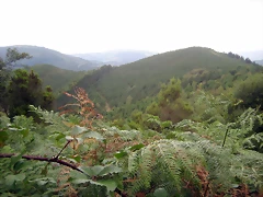 IMG_0498 IMG_0498