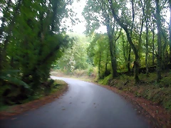 DSCN5331 DSCN5331