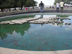 SDC14213 SDC14213