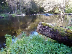 DSCN9124 DSCN9124