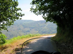 IMG_2767 IMG_2767