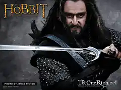 thorin-800x600