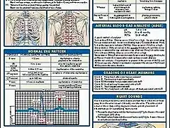 Nursing Laminate Reference Chart