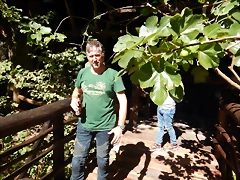 DSCN0133 DSCN0133
