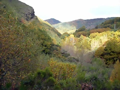 DSCN6033 DSCN6033