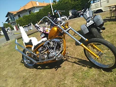 IMG_20220702_115603_434 IMG_20220702_115603_434