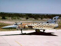 sa_cheetah-c_7