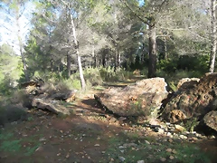 Imagen 003