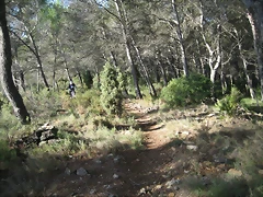 Imagen 005