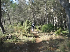 Imagen 006