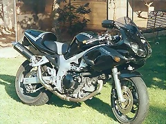 Dan5 (450 x 299)
