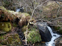 DSCN9667 DSCN9667