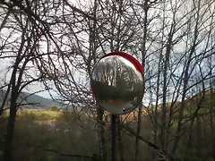 DSCN2850 DSCN2850