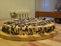 IMG_0433 IMG_0433