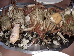 IMG-20171208-WA0006 IMG-20171208-WA0006