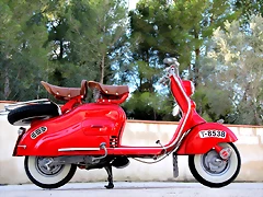 IMG_7177 IMG_7177