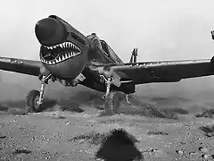 P-40 en el Norte de Africa