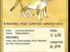 gato de las arenas