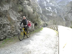 R0012341 R0012341