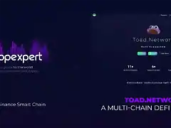 DAPP.EXPERT