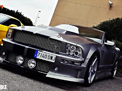 DSC_0796 DSC_0796