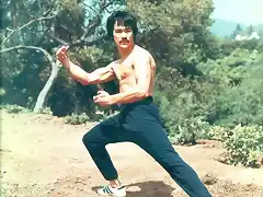 bruce lee