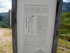 DSCN3974 DSCN3974