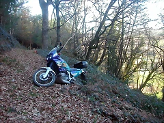 DSCN5764 DSCN5764