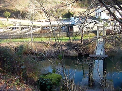 DSCN5771 DSCN5771