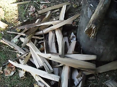 DSCF0973 DSCF0973