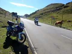 DSCN6334 DSCN6334