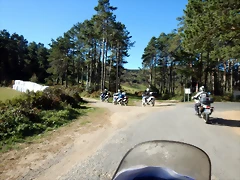DSCN8834 DSCN8834