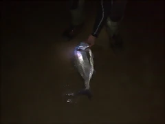 020720111060 020720111060