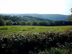 DSCN2078 DSCN2078