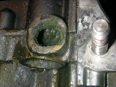 DSCN3613 DSCN3613