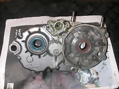 DSCN3603 DSCN3603