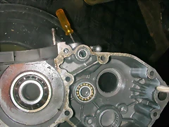 DSCN3608 DSCN3608