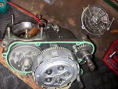 DSCN3538 DSCN3538
