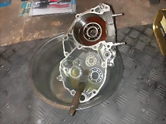 DSCN3604 DSCN3604