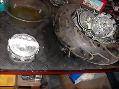 DSCN3557 DSCN3557