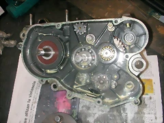 DSCN3580 DSCN3580