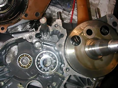 DSCN3590 DSCN3590