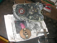 DSCN3579 DSCN3579