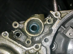 DSCN3611 DSCN3611