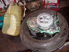 DSCN3542 DSCN3542