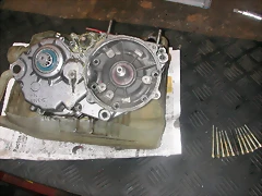 DSCN3582 DSCN3582
