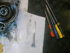 DSCN3595 DSCN3595