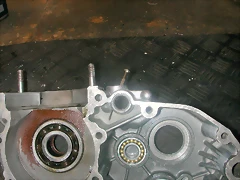 DSCN3625 DSCN3625