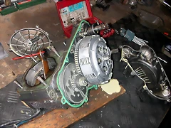 DSCN3537 DSCN3537