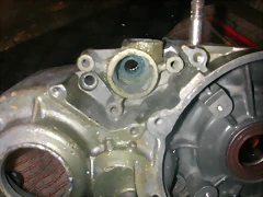 DSCN3619 DSCN3619